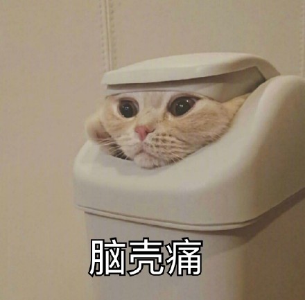 今日份表情包原图整理好了，速来存