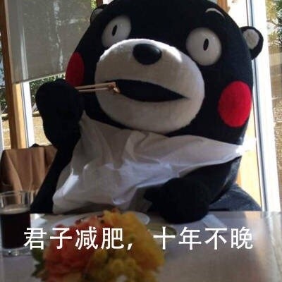 熊本熊版“月半仙女”表情包来啦！
