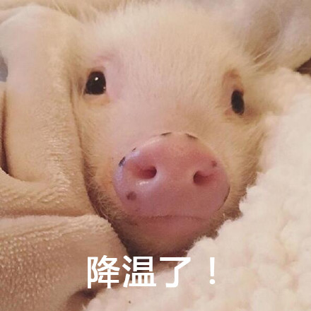 这套警告表情包火了！带降温提醒还自带反差萌