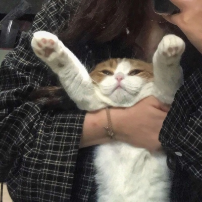 26张气质感拉满的高清女生头像 最新精选合集