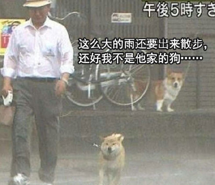 哈哈哈戏精表情包合集来啦