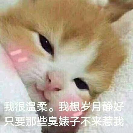 这组软萌表情包，看完心都化了