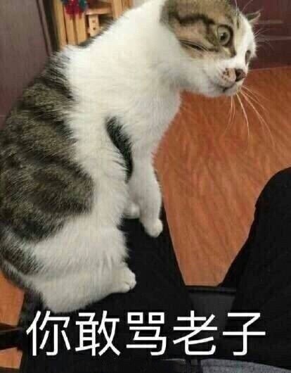 聊天斗图找不到合适的？这份表情包合集直接救场