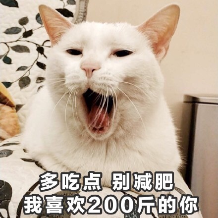 超治愈！这组软萌猫咪表情包太适合聊天斗图啦