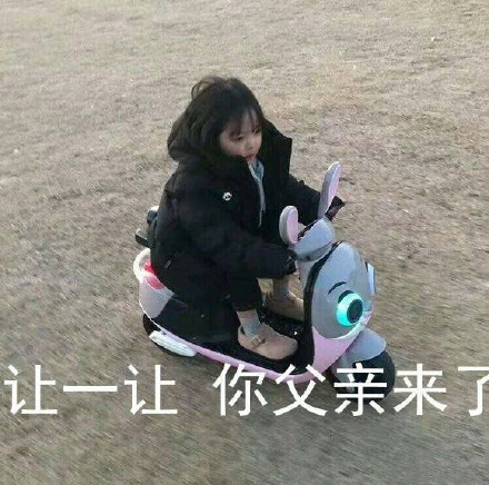 超萌权律二表情包合集