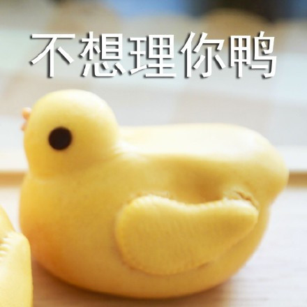 一弹鸭鸭表情包来啦！超全可爱鸭鸭表情合集