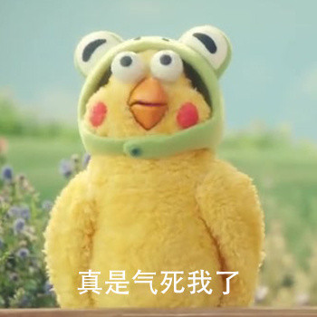 被气到的鹦鹉兄弟表情包来啦