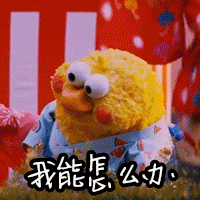 鹦鹉兄弟动图合集来啦！聊天斗图不用愁