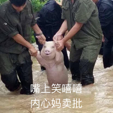 8月26日热门表情包原图合集