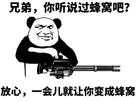 11月13日斗图表情包精选合集