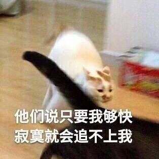 8月19日热门表情包原图合集来啦