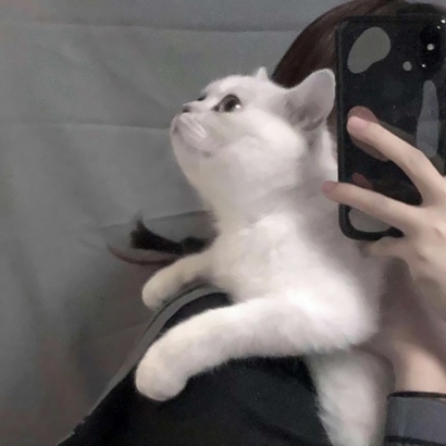 QQ女生部位可爱头像合集 14张高清好看的可爱女头分享