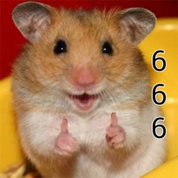 超萌仓鼠表情包合集来啦