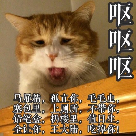 这波猫咪表情包太治愈！快存下来一起吸猫