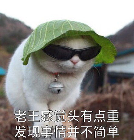 吸猫爱好者集合！这套喵星人表情包太上头了