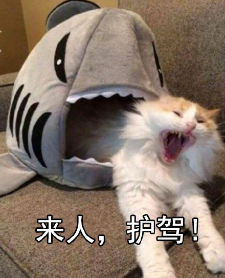 哈哈哈戏精表情包合集来啦