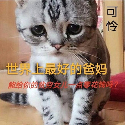 9月4日斗图表情包精选合集