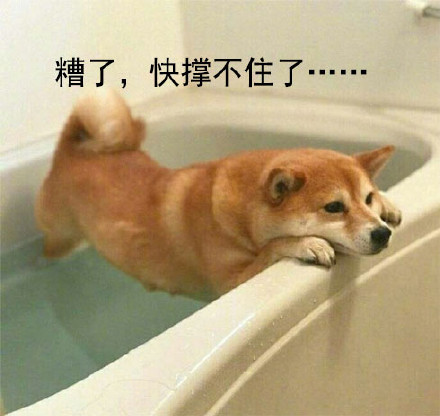 哈哈哈戏精表情包合集来啦