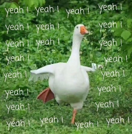 萌趣肥鹅表情包合集来啦