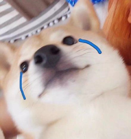 全网爆火的「这谁顶得住啊」表情包来了