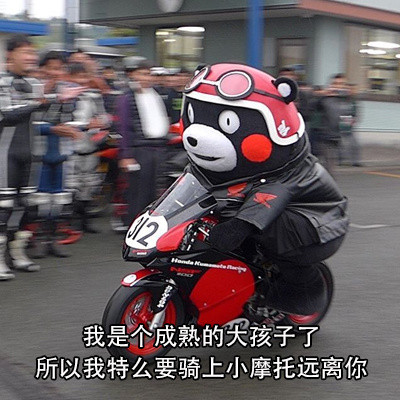 超实用熊本熊表情包合集整理