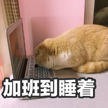 挖到一套软萌小猪喵表情包