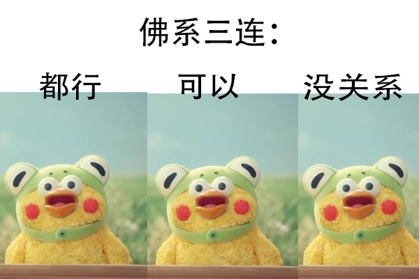 鹦鹉兄弟出新三连表情包啦！