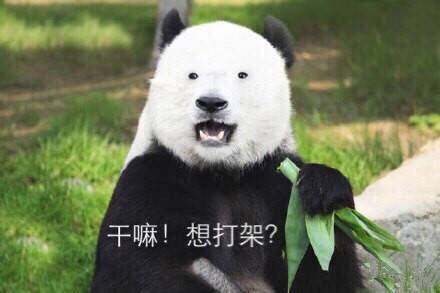 快收下这套熊猫头表情包！