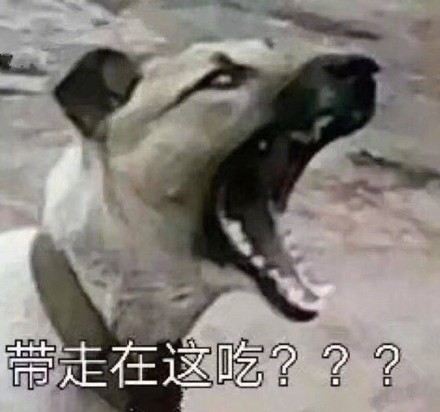 打工人必备！食堂大妈专属斗图表情包来啦