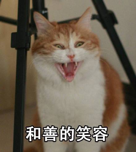 全网爆火的喵星人表情包，个个都是戏精本精
