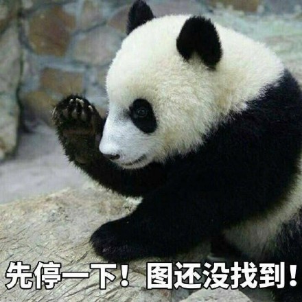 快收下这套熊猫头表情包！