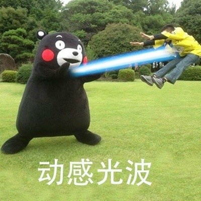 这套功夫表情包太绝了！熊本熊整活整到飞起