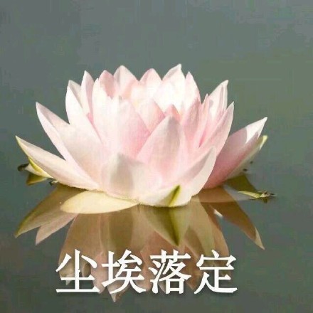 超治愈佛系荷花表情包合集