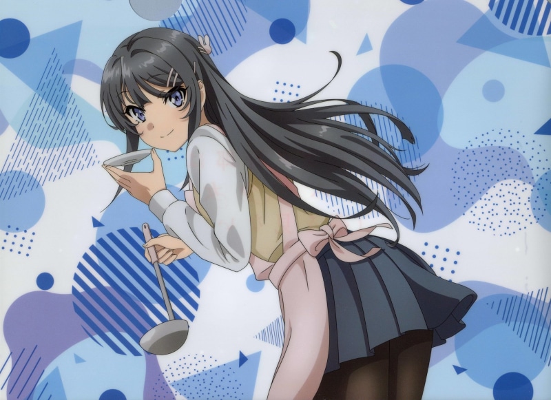青春猪头少年兔女郎学姐壁纸合集 高清1080P