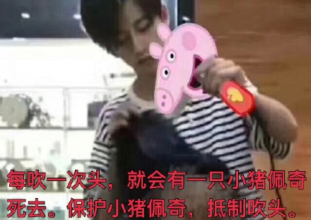 11月15日热门斗图表情包合集