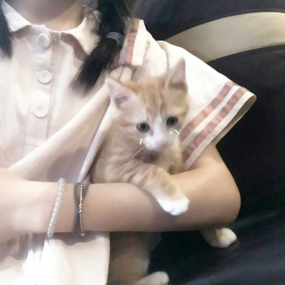 干净清新！20款女生部位QQ头像合集