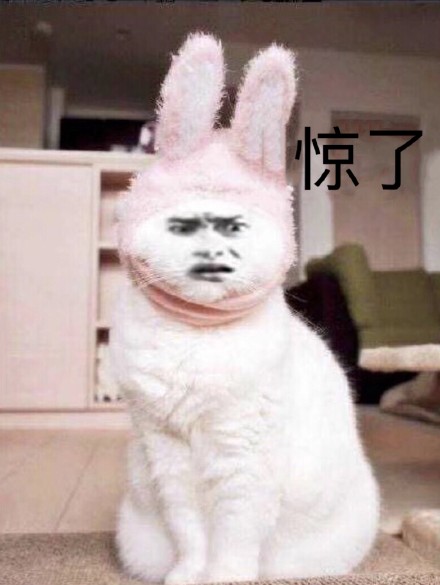 12月1日热门斗图表情包合集