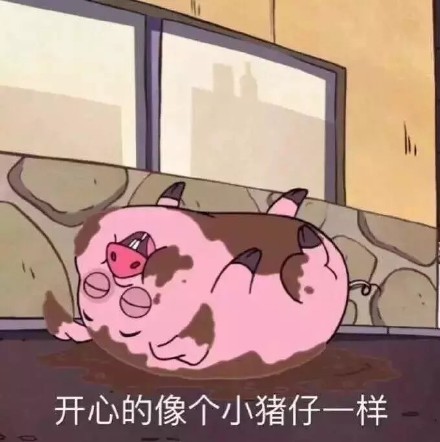 “你是我全世界最喜欢的猪” 这套猪系表情包太甜了
