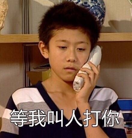 刷到就是赚到！怀旧党狂喜的家有儿女表情包来了