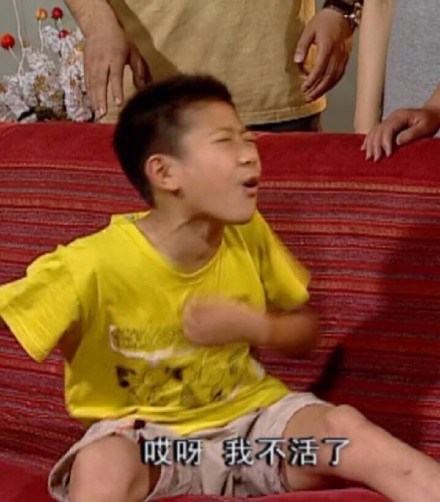 童年回忆杀！家有儿女刘星又出新表情包了