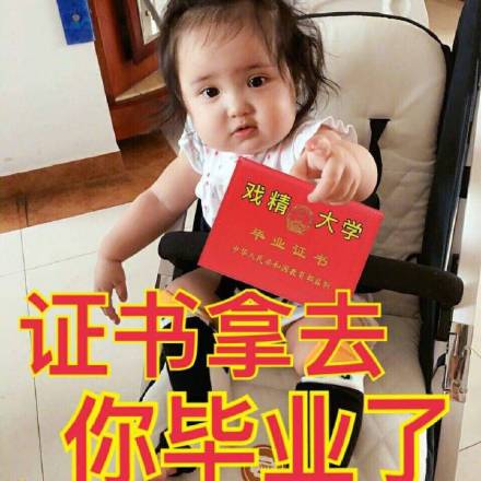 当下超火的表情包合集 斗图直接用