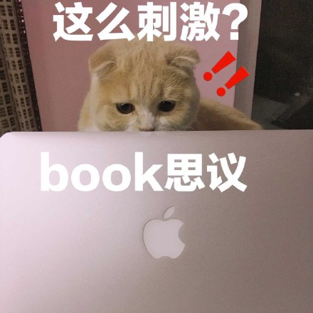 挖到一套软萌小猪喵表情包