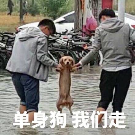 当下超火的表情包整理合集