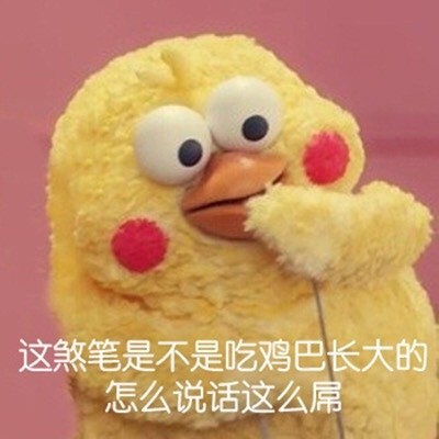 鹦鹉兄弟怼人表情包合集