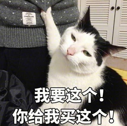 朋友生日必备！这套表情包既能要礼物又能整活