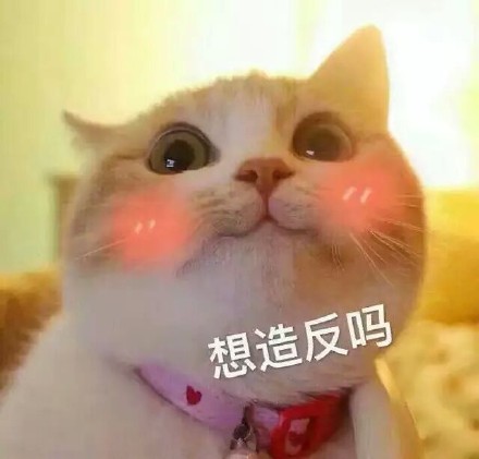 情侣互动表情包：老公，不举高高么