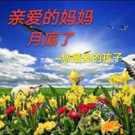 9月4日斗图表情包精选合集