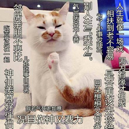 8月19日热门表情包原图合集来啦