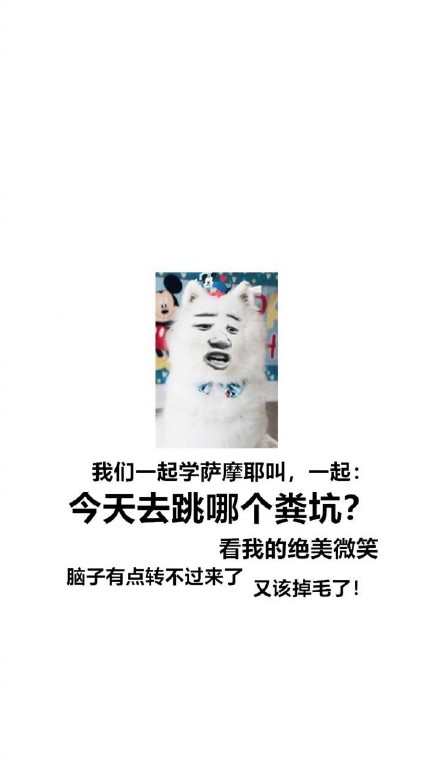 汪星人整活合集：跟着主人学叫的沙雕表情包来啦