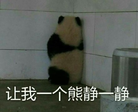 大熊猫系列表情包合集
